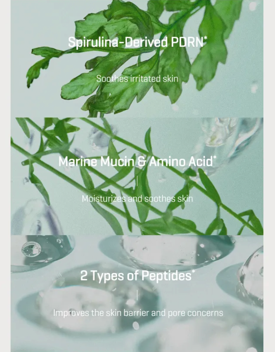 Product packaging with green leaves and text about Spirulina, Marine Mucin, Amino Acids, and Peptides on a light blue background.