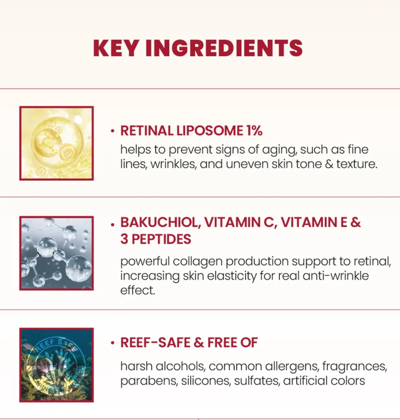 List of key ingredients with images and descriptions on a white background