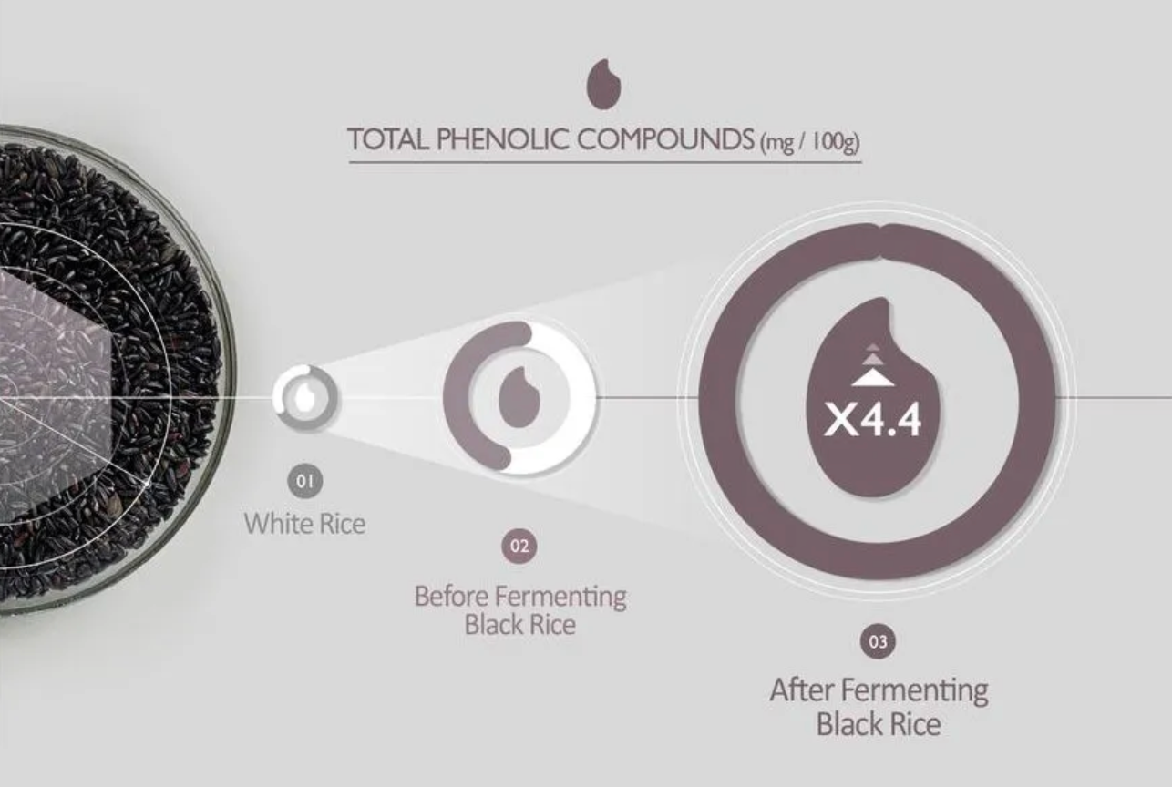 Black Rice Hyaluronic Toner