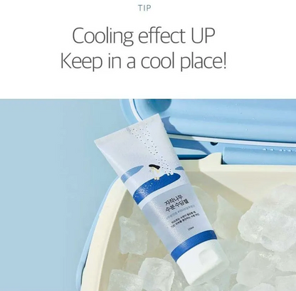 Round Lab - Birch Juice Moisturizing Gel