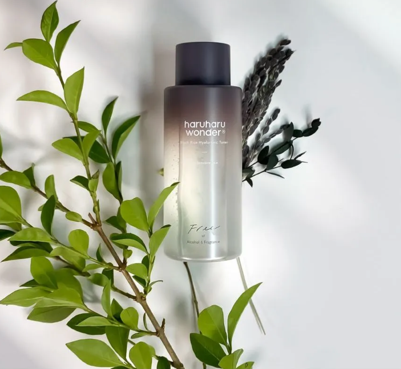 Black Rice Hyaluronic Toner