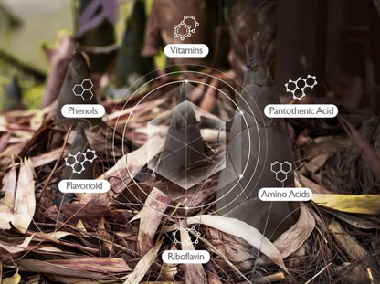 Black Rice Hyaluronic Toner